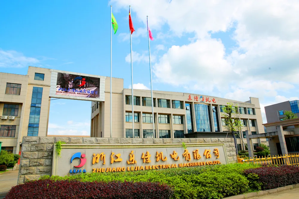 LEJIA electronic embroidery machine for embroidery clothes computerized machine