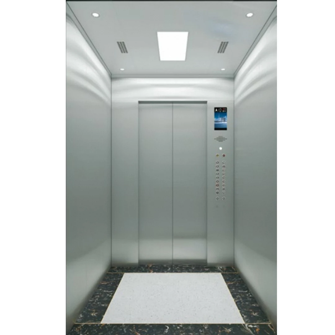 High Quality Fuji Elevator 450kg Capacity Home and Villa Passenger Lift for 6 People New Residential Elevator