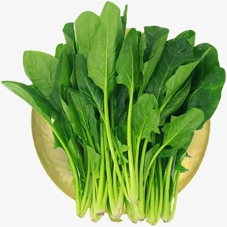 Natural Spinach Vegetable Powder Spinach Juice Powder Spinach Powder