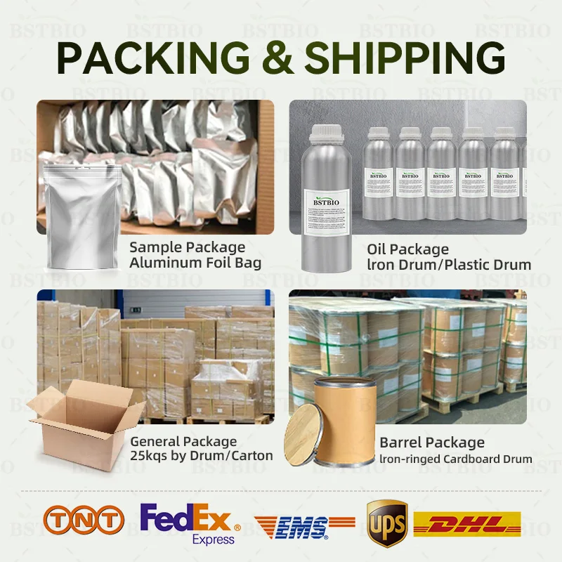 BSTBIO экстракт расторопши порошок 95% 98% Силибин