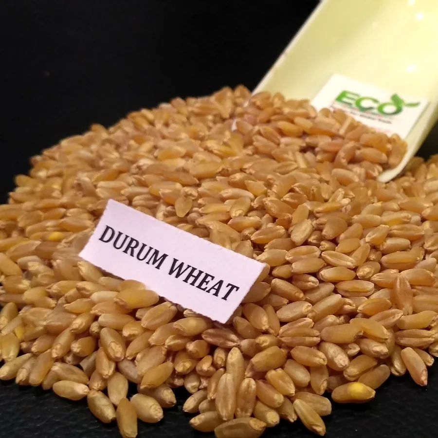 Продавец жёсткой пшеницы из Индии