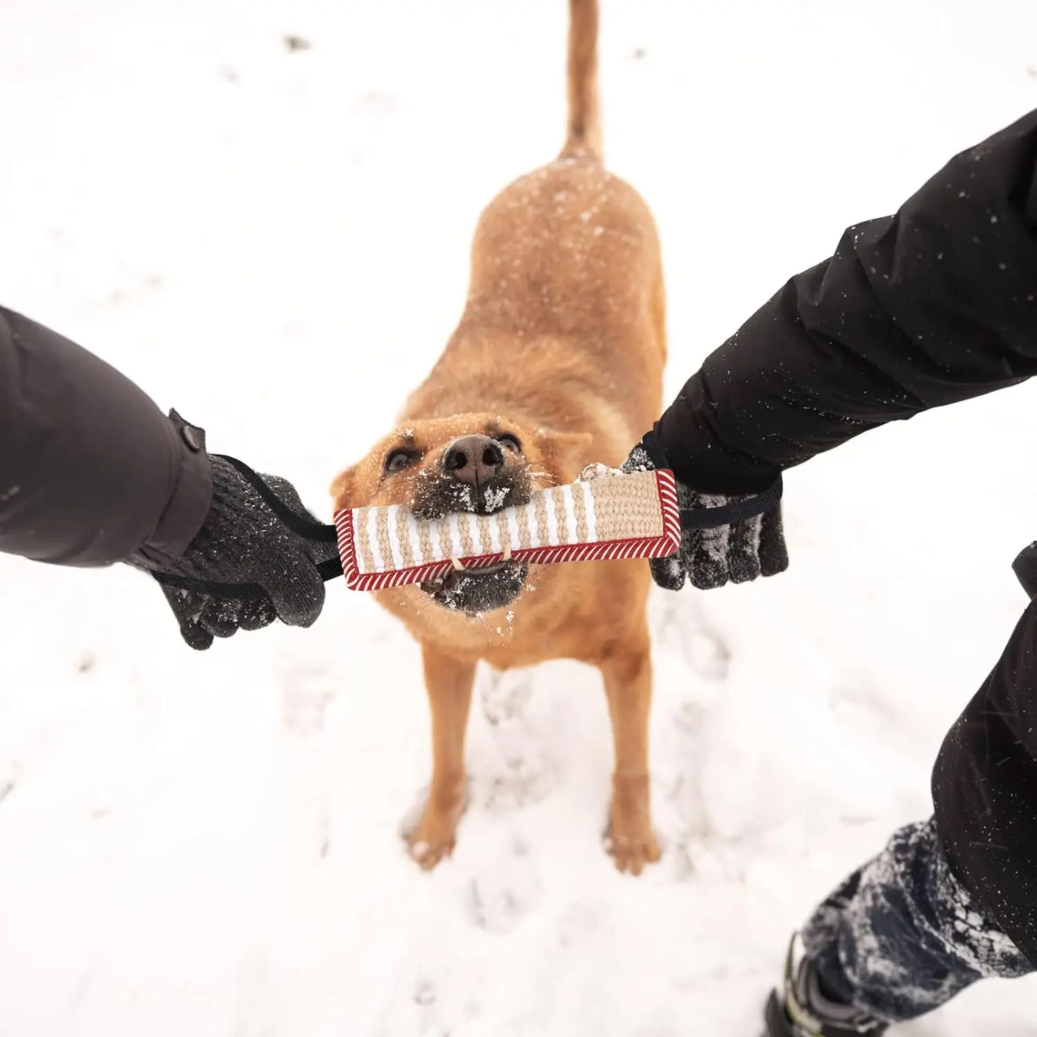 Durable nylon mixed fabric dog bite tug toy, tear resistant suitable for tug-of-war, suitable for small medium-sized dog toys
