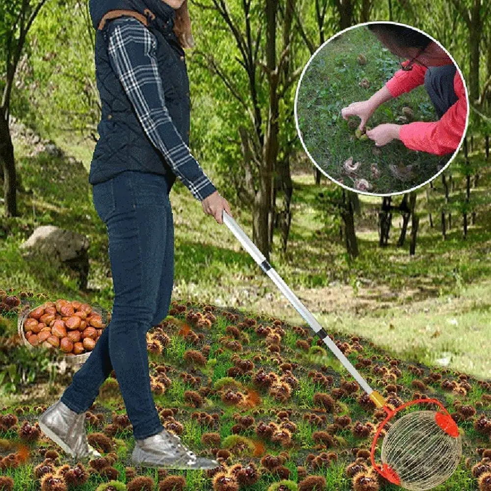 Adjustable Rolling Walnut Nut Collector Gatherer Picker with Telescopic Rod for or Pecans, Chestnuts, Fruits and Golf Balls, Red