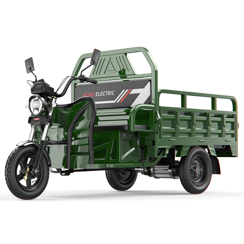 Mini pull cargo electric tricycle small mountainous uphill light electric tricycle