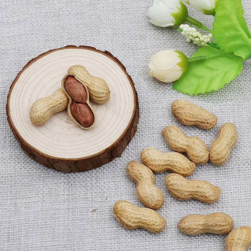 Roasted Peanut Wholesale Peanut In With shell 9/11