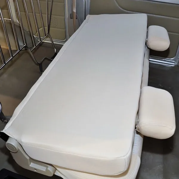 DONGFENG LHD/RHD C35 mini Van