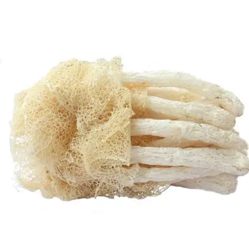 Сушеный гриб чайного дерева Dictyophora Indusiata