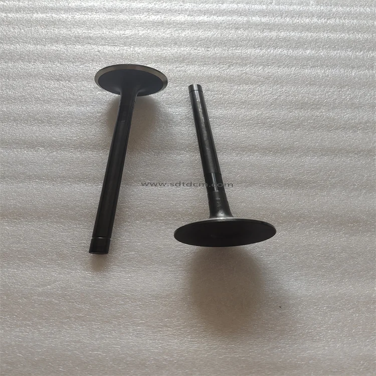 Intake and Exhaust Engine Valve 6D170 E3 Engine OEM 6240-41-4110 6240-41-4210