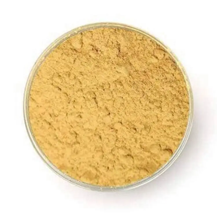 Natural Plant Extract powder Milk Thistle Extract 80% silymarin seed