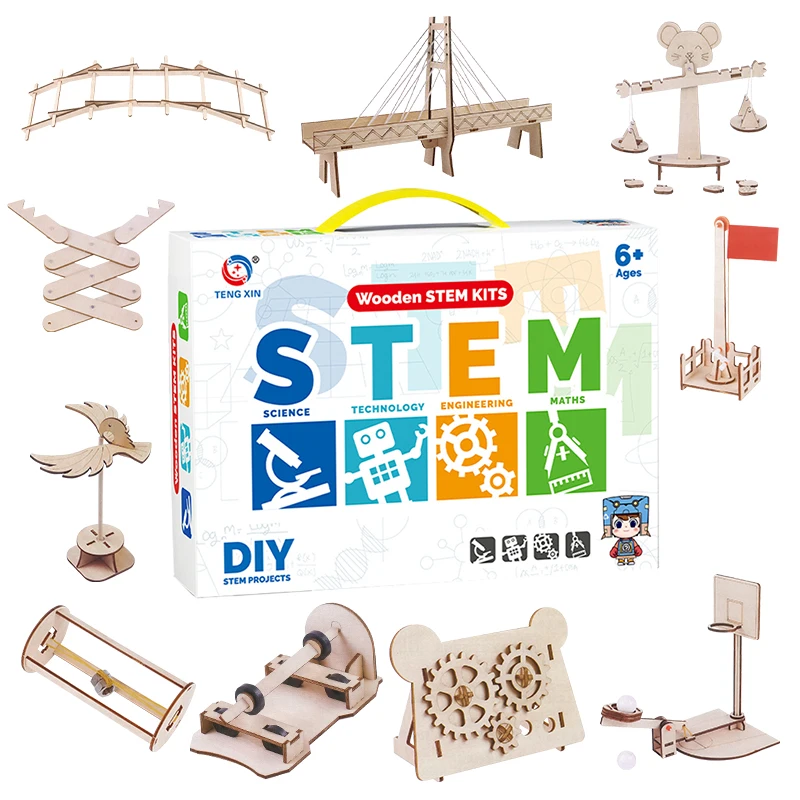 10 in 1 Physical Mechanics Science Experiment Kit Wooden Educational Teaching Tools Stem Learning Kit for Primary School
