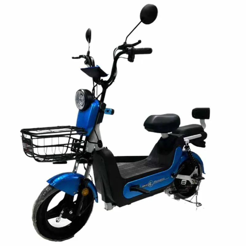 New design 20inch 250w folding electric bicycle vietnam with certificate