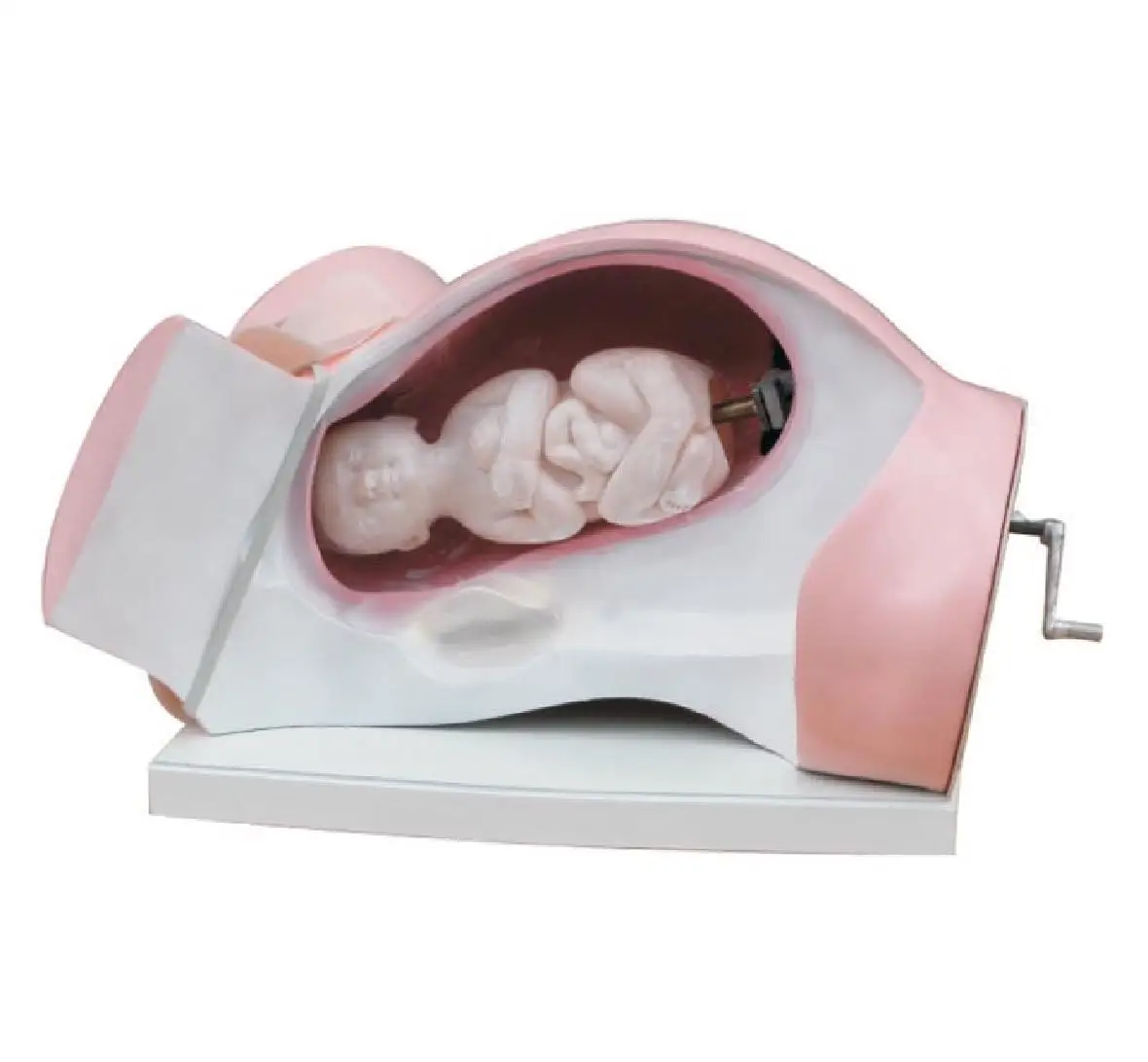Medical Skill Training Simulator Child Birth Fetus Model of Course of Delivery Demonstration Model For Nursing School Teaching