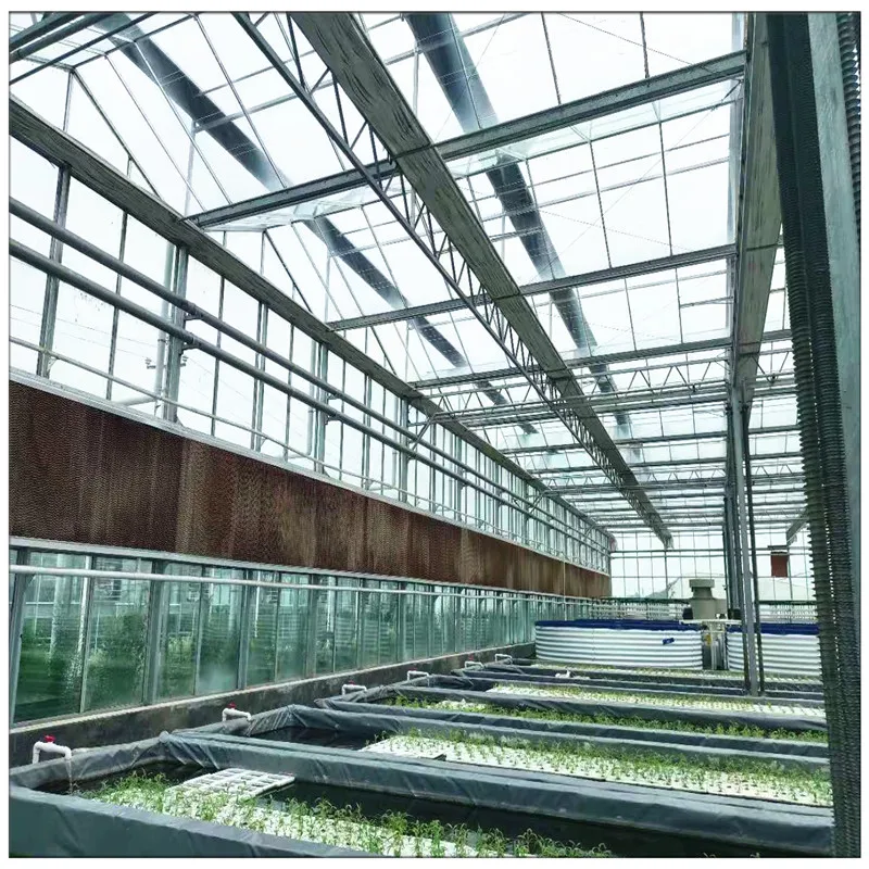 China Factory Price Galvanized Steel Frame Tomato Strawberry Growing Multi Span
