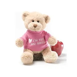 Promotional Gifts Kids Plush Bear Soft Toys Branded Custom Logo Teddy Bear With T-shirt Wholesale Factory Teddy Bear