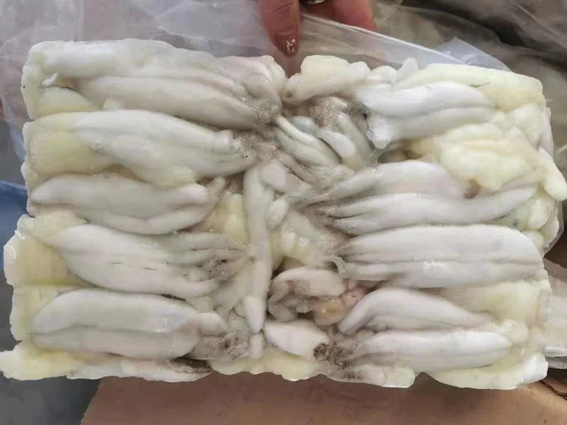 Новое приземляющееся яйцо кальмара для продажи замороженные икры каламари