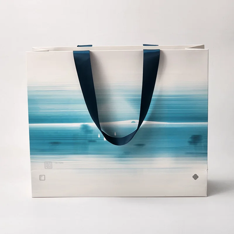 Custom Logo Horizontal Paper Packaging Bags Gift Paper Bag for Jewelry with ribbon handle for boutiques