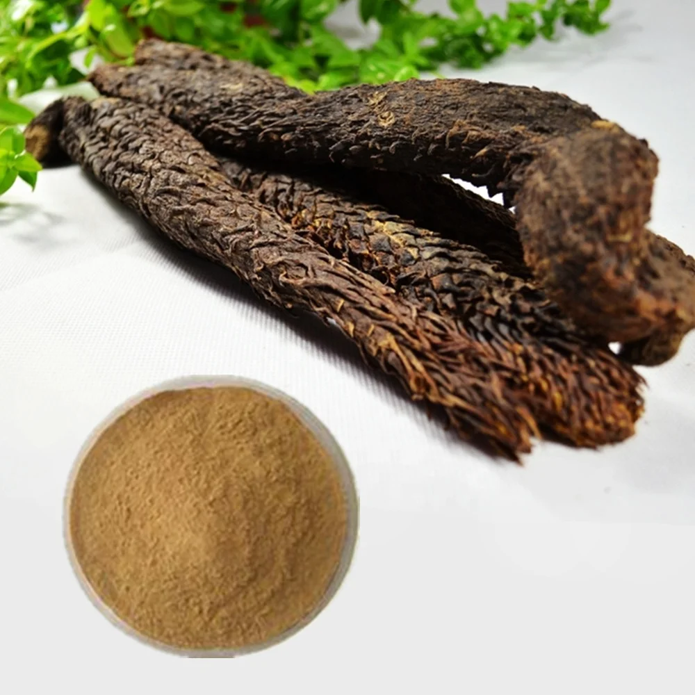 Premium Cistanche Tubulosa Extract Desertliving Herb Supplement  Cistanche Deserticola Extract