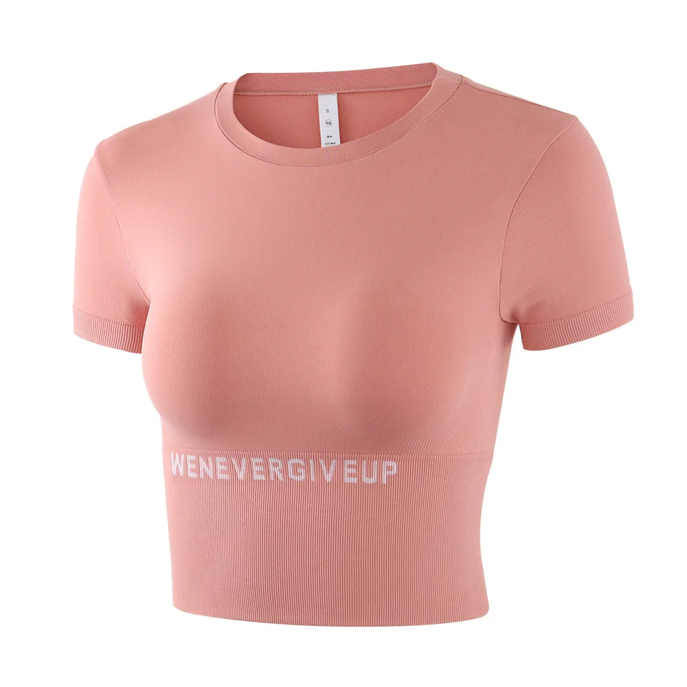 High Quality Cheap Seamless Knit Moisture Wicking Sweat Short Sleeve Yoga Wear Sports Fitness Running T-Shirt