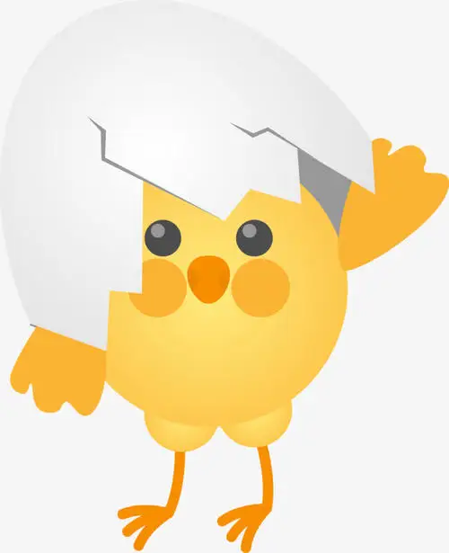 family use 24 eggs full automatic  mini incubator with roller egg tray