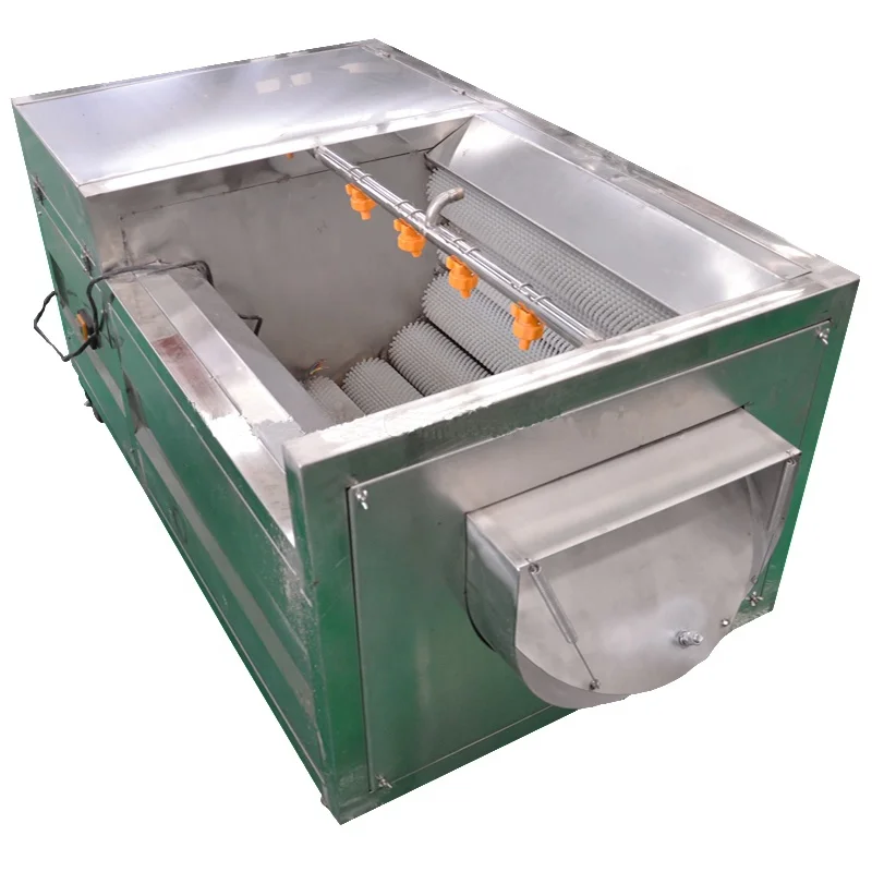 Automatic potato washing and peeling machine potato carrot peeling machine sweet potatoes washing machine