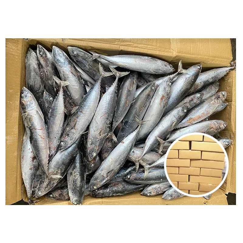 High Quality Sea Frozen Fresh Mackerel Fish 150 - 250g Frozen Pacific Mackerel