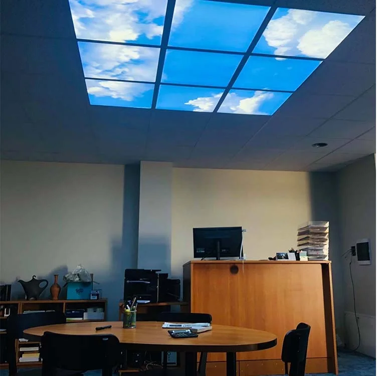 New Arrivals Night Light Led Star Projector Lamp Astro Sky,Bule Sky Led Panel Light,Sky Light Roofing