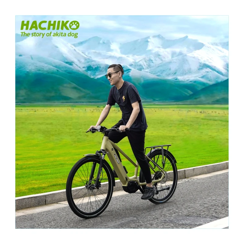 Hachiko Exclusive electric mountain bike 250W MIVICE mid motor 48V 15Ah long range electric city bike