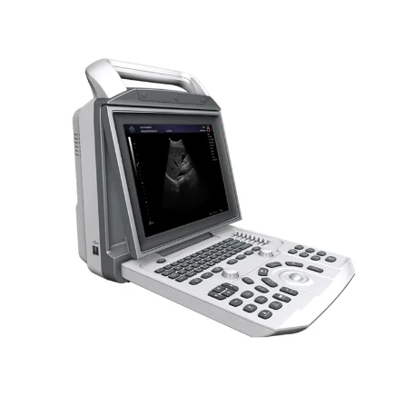 
Factory price wholesale Portable ultrasound machine black and white laptop doppler ultrasound machine 
