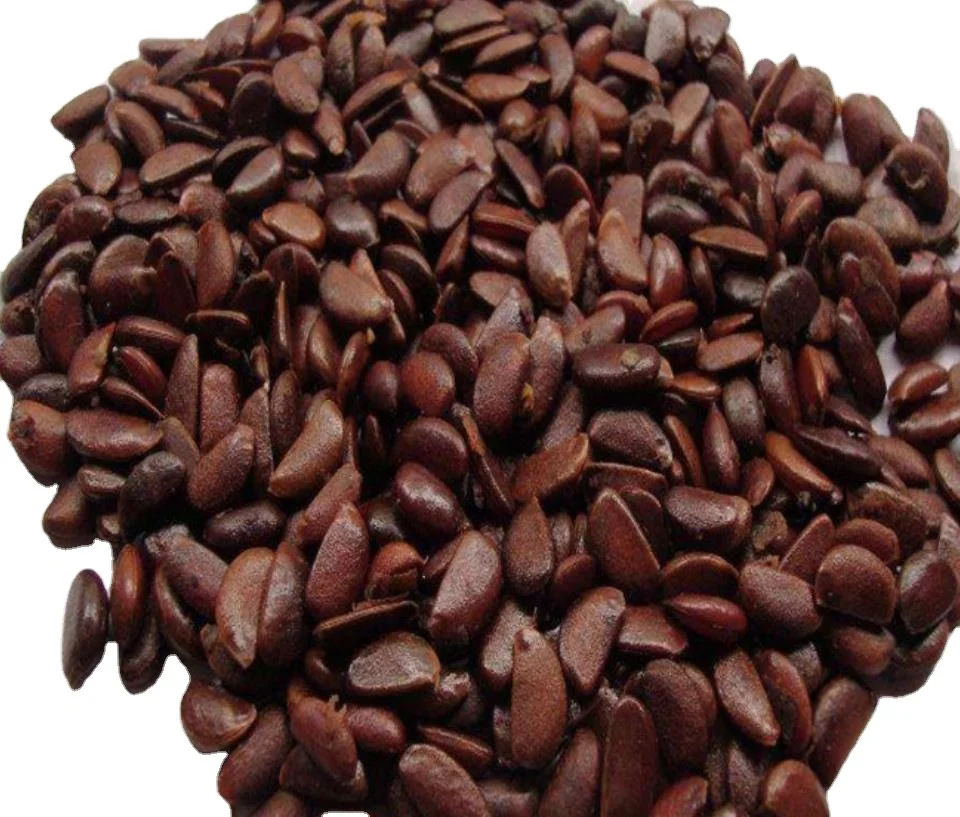 1 кг высокое сладкий NON-GMO красный хурма семена для продажи