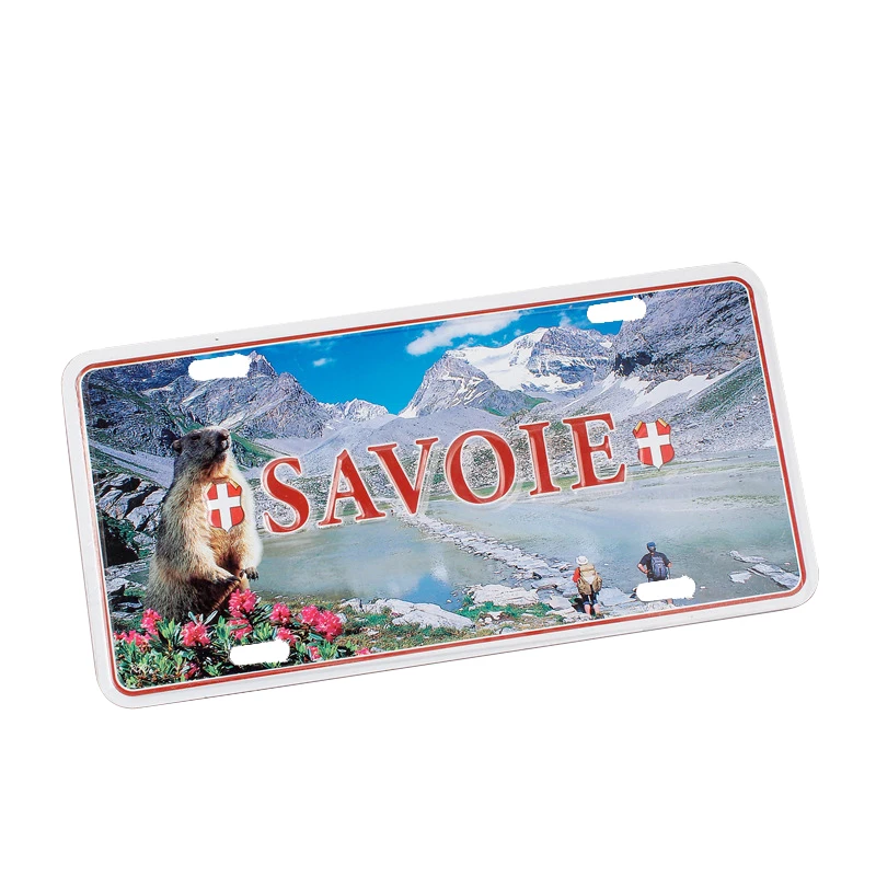 Индивидуальный дизайн металлические знаки незаметный пластиковый номерной знак для мотоцикла