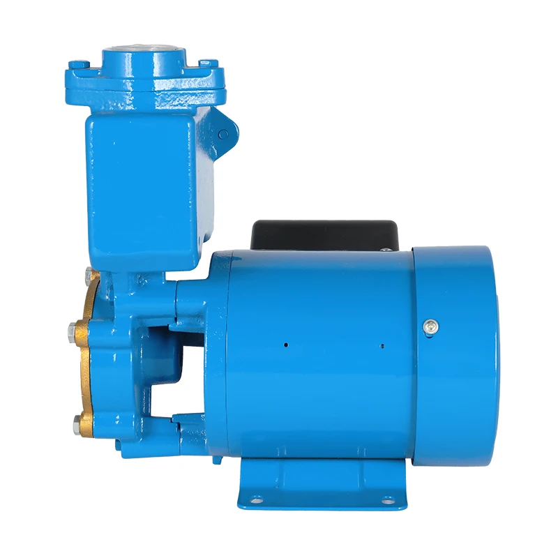 PS Domestic Auto Station mini dc single phase three Self-priming long distance water pumping motor automatic pump