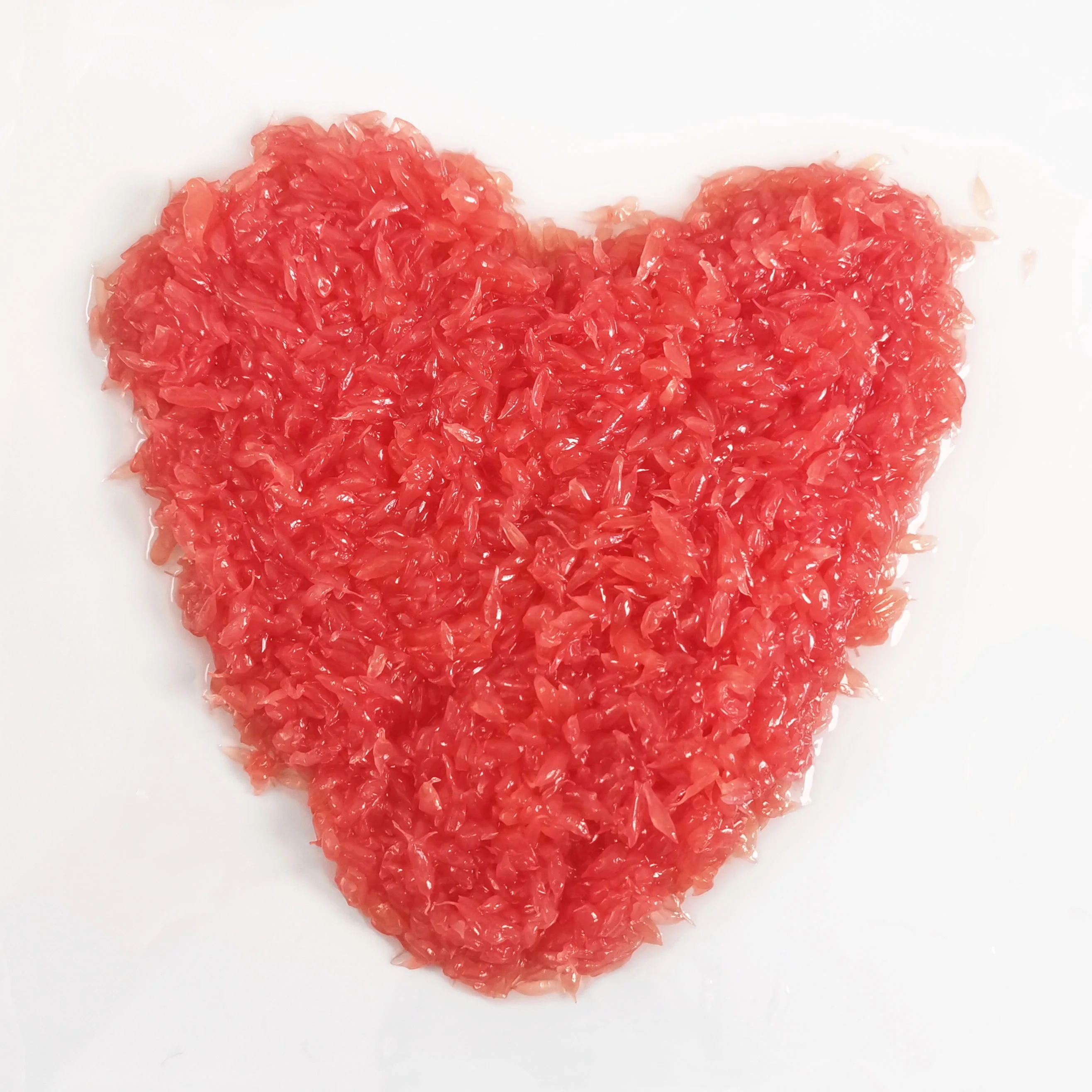 Beverage A10 Canned South African Ruby Red Grapefruit Sacs in Syrup Canned Food