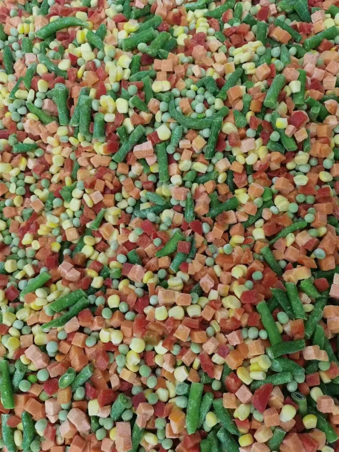 Professional Fresh Iqf Ready To Eat Vegetables  Frozen Edamame  Frozen Mixed Vegetables