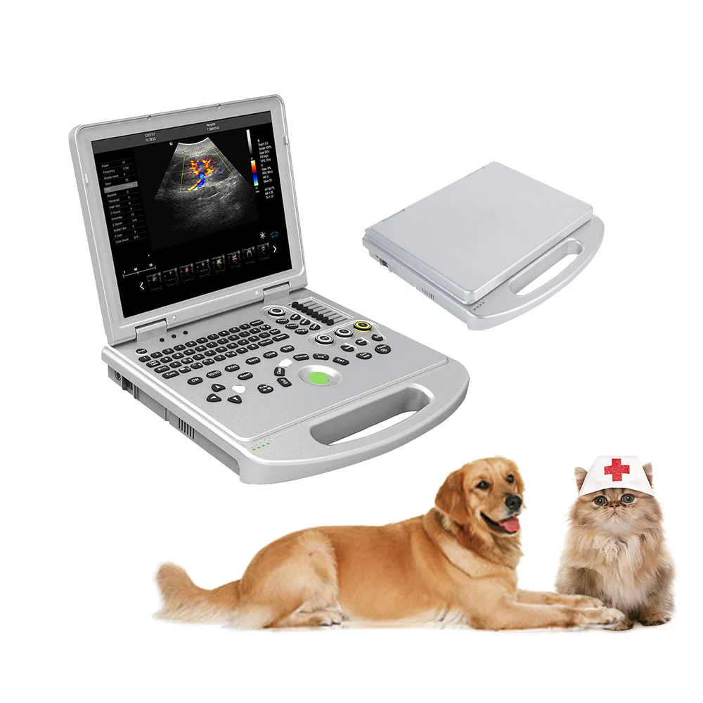 LTUB11V portable 3D/4D ultrasound machine laptop color doppler veterinary ultrasound scanner (1600285146596)