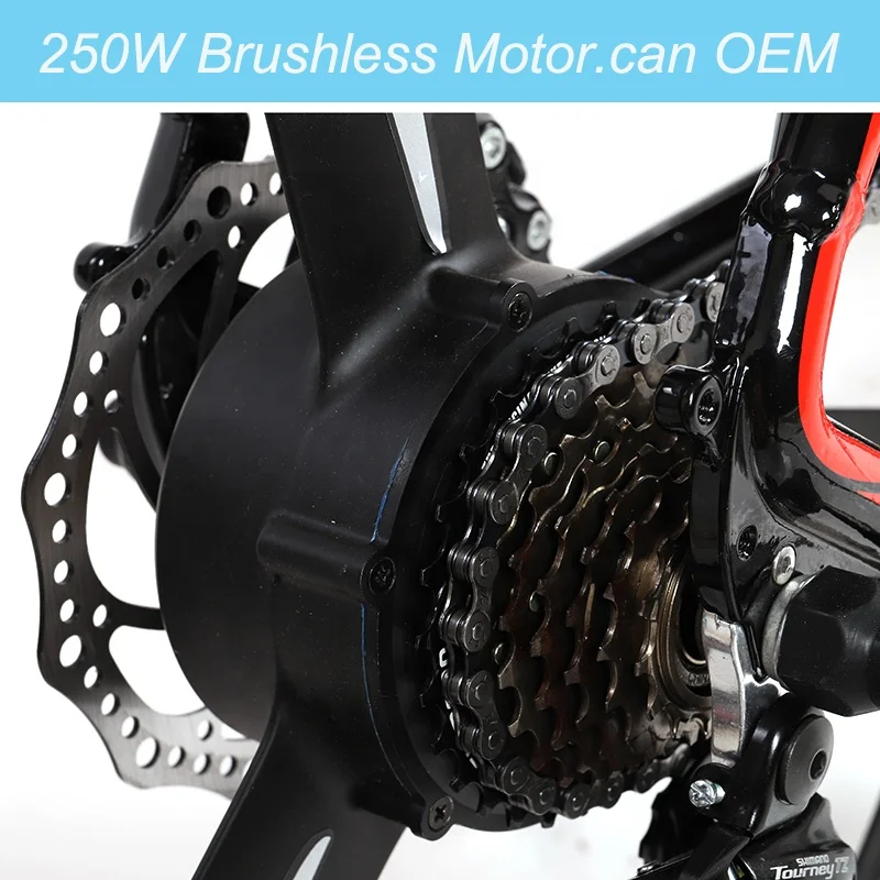  2021 New Style Ebike High Performance Electric Bicycle 36V 250W Motor Mountain
