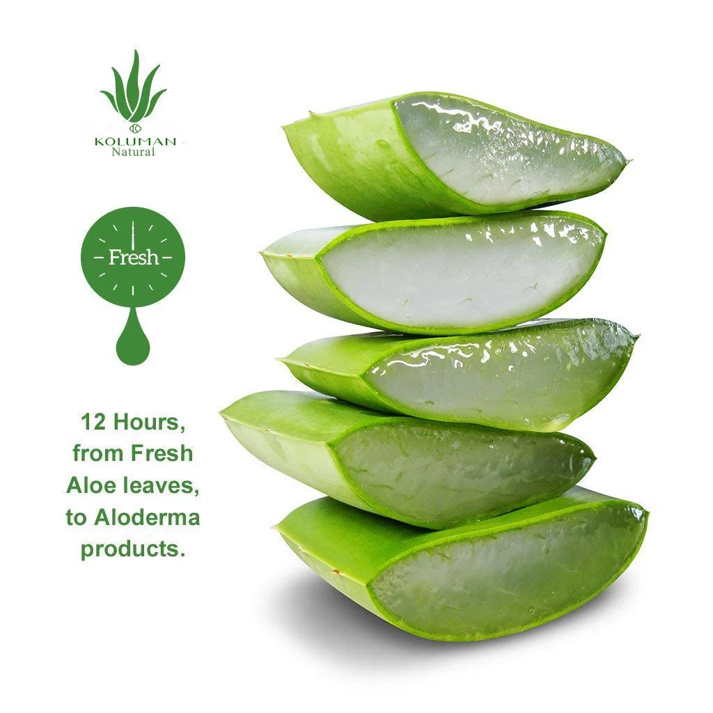 Spot Direct Sales Aloe Vera Gel Soothing Repair Moisturizing Acne Aloe Vera Gel Skin Care Products
