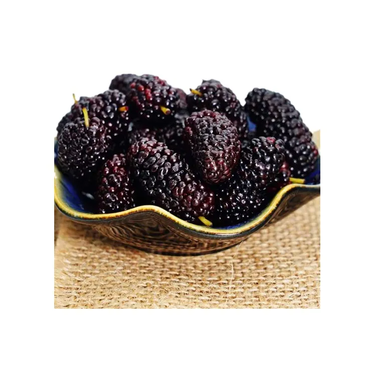 
China Wholesale Websites Modern Style Frozen Mulberry 