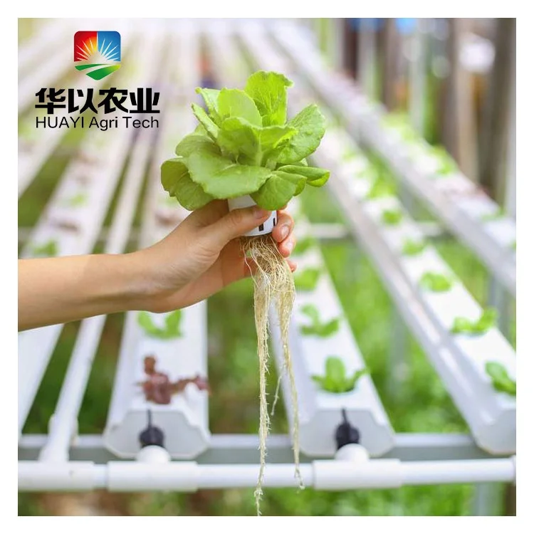 Best Sales low cost indoor vertical NFT Vine Fruit hydroponic growing systems for greenhouse