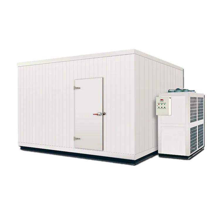 
Small insulin refrigerator unit blast freezer walk in chamber chiller fridge commercial cold room storage for drug vaccine 