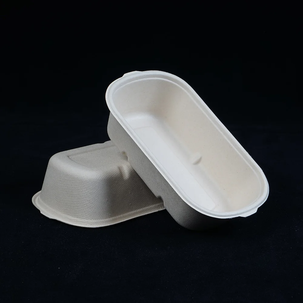100% Biodegradable Tableware Disposable Take Away Food Container Biodegradable Lunch Box