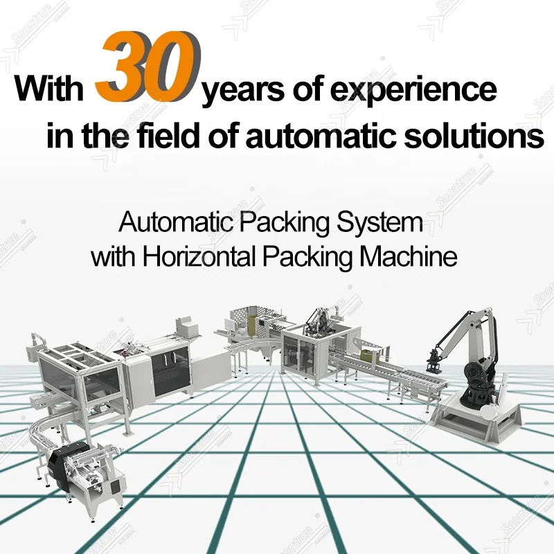 110V 220V automatic servo feeding pan cup cake flow wrapper pack machine solutions with soontrue