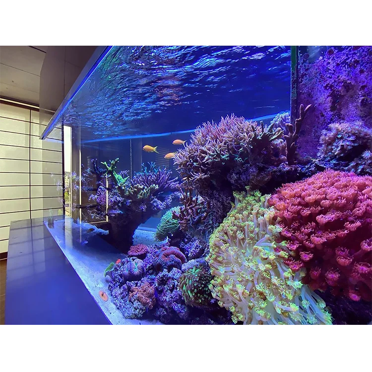 Профессиональный дизайн бесшовное соединение Морские резервуары для кормления морской рыбы аквариум Sebo @