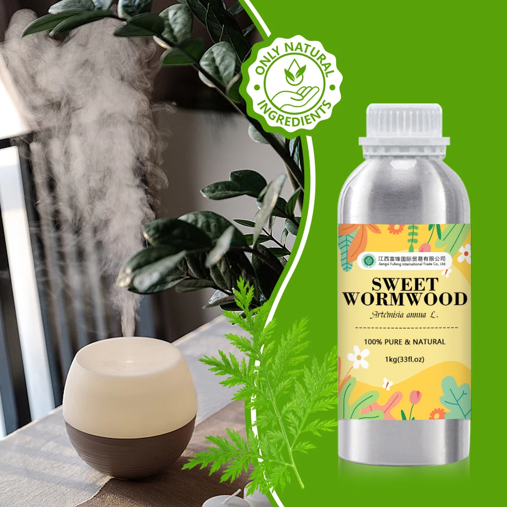 Sweet Wormwood Essential Oil Organic For Diffuser  - 100% Pure Natural Artemisia annua Leaf Steam Distilled | Bulk Price 1kg