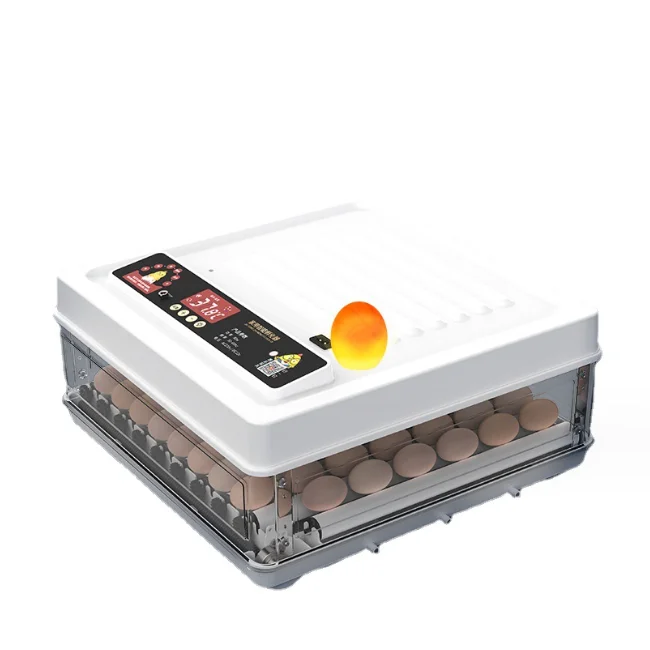 Weiwei small household multifunctional incubator pigeon eggs egg incubator