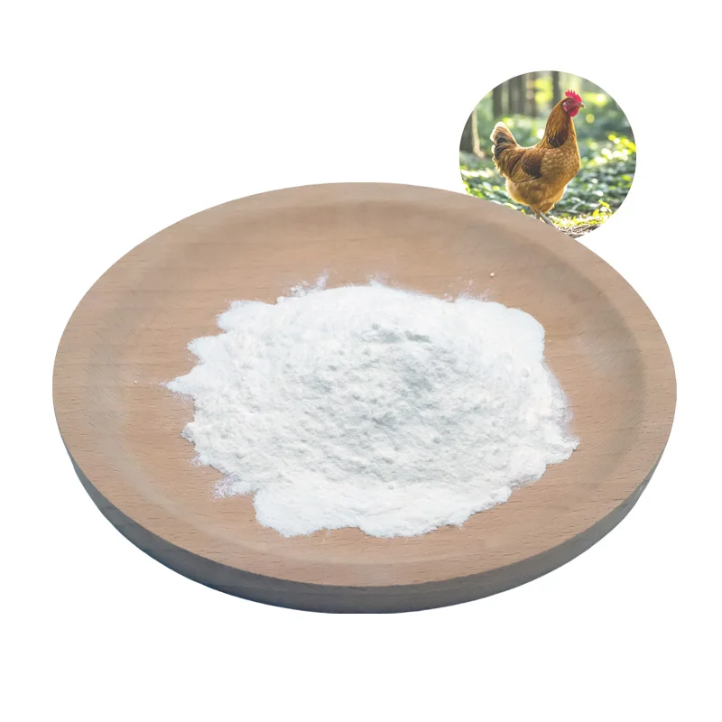 Protein 99% chicken collagen type ii powder hydrolyzed type ii collagen