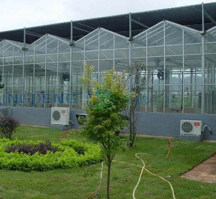 Venlo tempered glass/float glass greenhouse with hydroponic growing