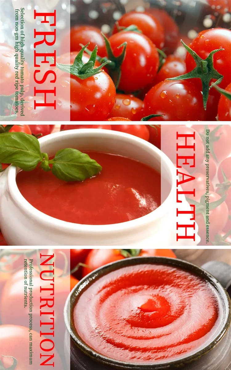 450g Squeeze Plastic Bottle Bulk Ketchup Super fresh Tomato Sauce