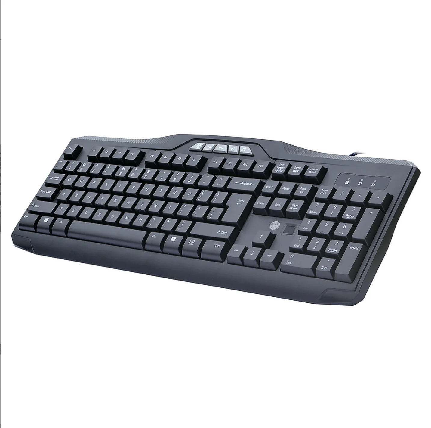 OEM fingerprint keyboard for computer
