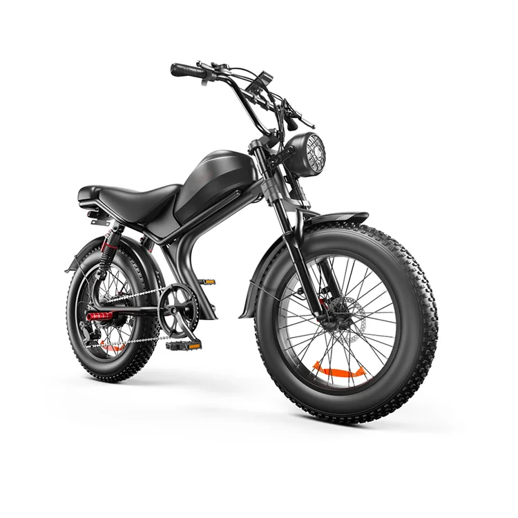 EU Warehouse Door to Door 2024 Arrival Rear Motor Wheel 20inch 1000W Fat Tire Electric Powerful Bicycle