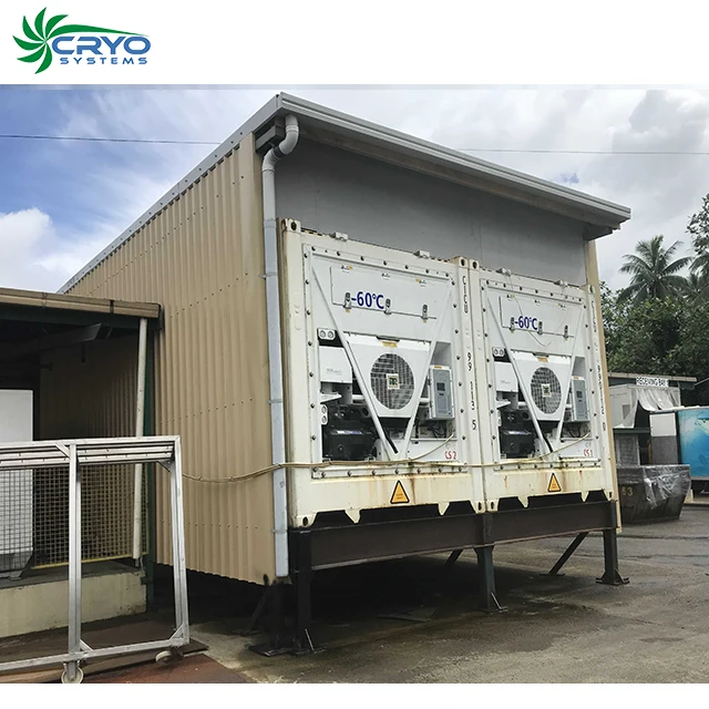 20ft 40ft -60C Container freezer cold storage room container blast freezer